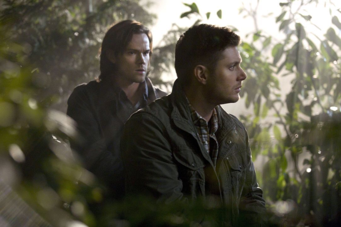 Noch ahnen Sam (Jared Padalecki, l.) und Dean (Jensen Ackles, r.) nicht, wer der angebliche Mann ohne Gesicht tatsächlich ist ... - Bildquelle: 2013 Warner Brothers