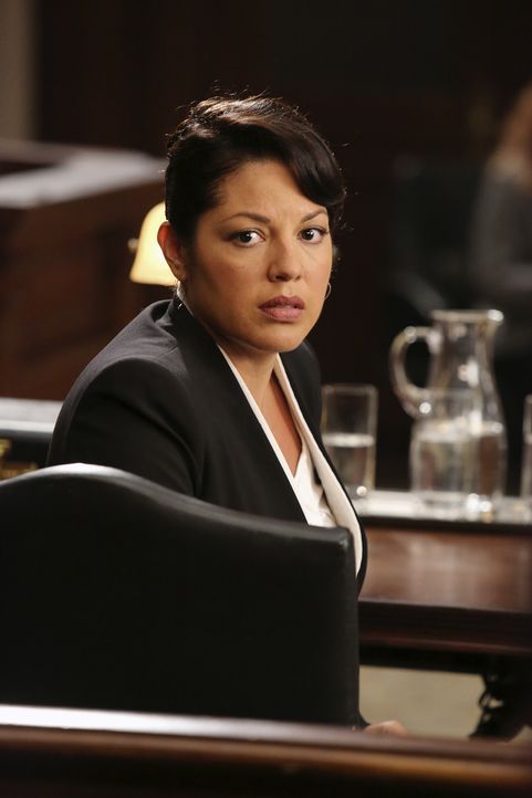 Vor Gericht muss sich Callie (Sarah Ramirez) den Aussagen ihrer Kollegen stellen ... - Bildquelle: ABC Studios