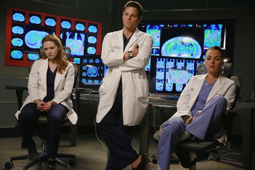 Ein Kleinflugzeug ist in Seattle abgestürzt. Für die Ärzte beginnt ein Kampf um Leben und Tod: April (Sarah Drew, l.), Alex (Justin Chambers, M.) un... - Bildquelle: ABC Studios