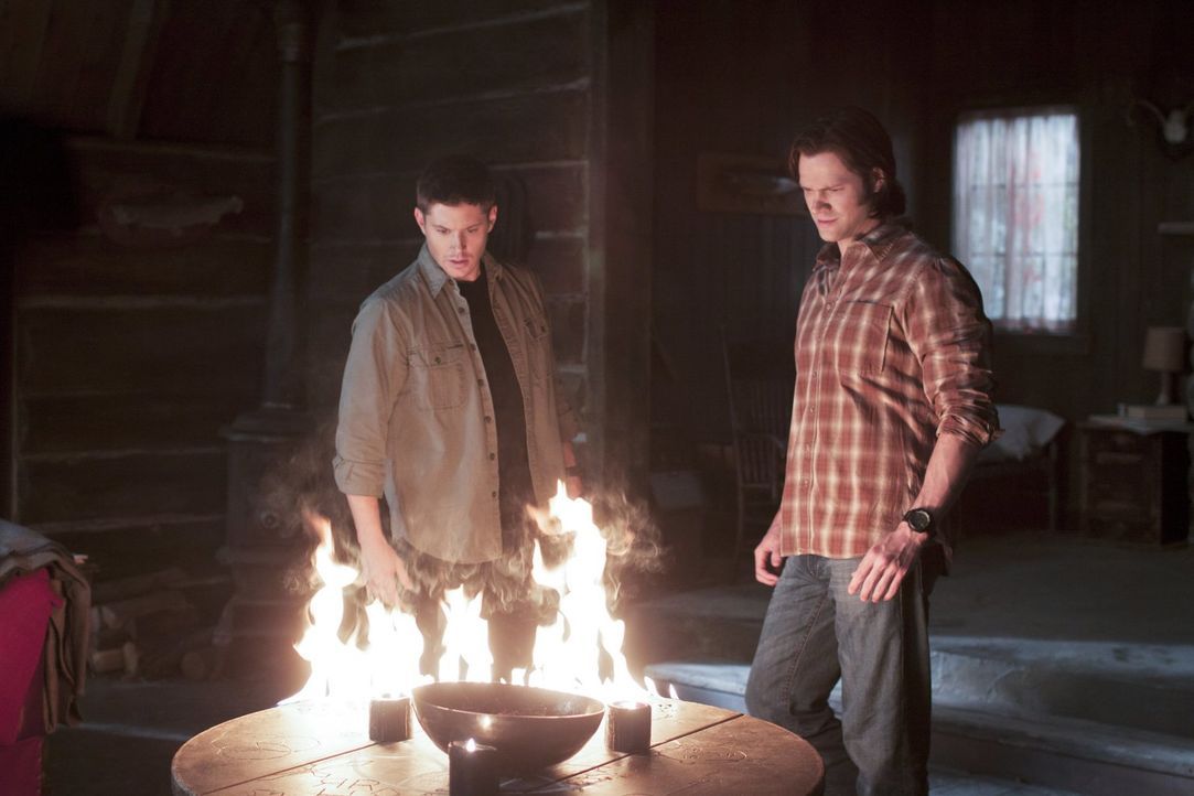 Irgendwie müssen Sam (Jared Padalecki, r.) und Dean (Jensen Ackles, l.) es schaffen, den Verbrecher zu finden, der allen Menschen bestimmte Nährstof... - Bildquelle: Warner Bros. Television