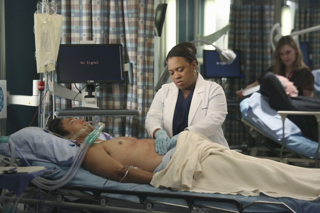 Im Memorial Hospital haben die Ärzte (Chandra Wilson) alle Hände voll zu tun, die Opfer der Schlammlawine zu versorgen ... - Bildquelle: ABC Studios