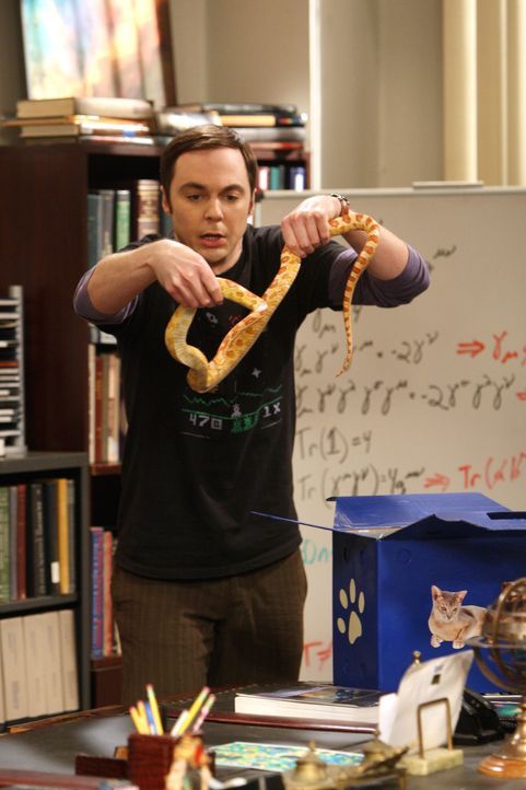 Sheldon (Jim Parsons) wird von seinen Freunden mit einem Streich zu Halloween reingelegt. Nun versucht er sich an ihnen zu rächen. Doch so richtig... - Bildquelle: Warner Bros. Television