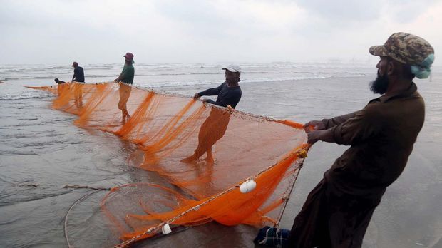 Schädliche Fischerei-Hilfen sollen gestoppt werden