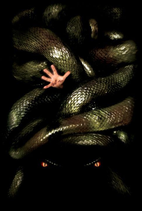 Anacondas: Die Jagd nach der Blut-Orchidee - Artwork - Bildquelle: Sony Pictures Television International. All Rights Reserved.