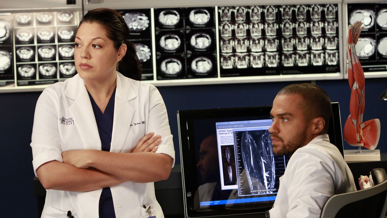 Während Cristina und Owen ihre Ehe endgültig beenden, versuchen Callie (Sara Ramirez, l.) und Jackson (Jesse Williams, r.) Derek zu einer riskante... - Bildquelle: ABC Studios