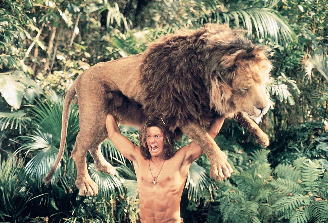 Eines Tages kann der tollpatschige Urwaldbewohner George (Brendan Fraser) eine wunderschöne Blondine vor einem Löwen retten. Prompt verliebt er si... - Bildquelle: Disney Enterprises Inc.
