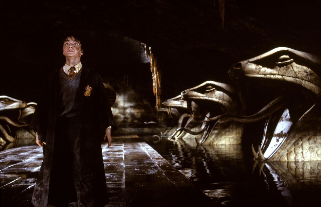 Auf dem gefährlichen Weg zur geheimnisvollen Kammer des Schreckens: Harry Potter (Daniel Radcliffe) ... - Bildquelle: Warner Bros. Pictures