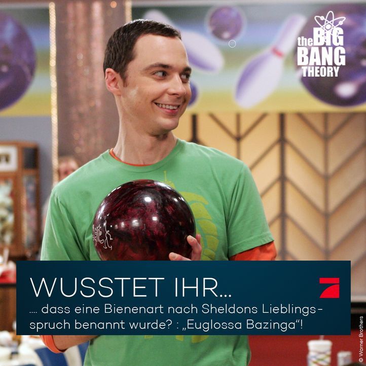 Big Bang Theory Trivia: Bazinga! - Bildquelle: Warner Brothers