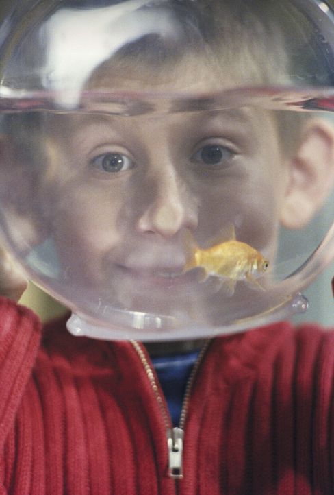 Dewey (Erik Per Sullivan) freut sich darüber, dass sein Goldfisch immer noch munter im Kreis schwimmt ... - Bildquelle: TM +   Twentieth Century Fox Film Corporation. All Rights Reserved.