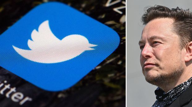 Bekommt Musk Twitter günstiger?