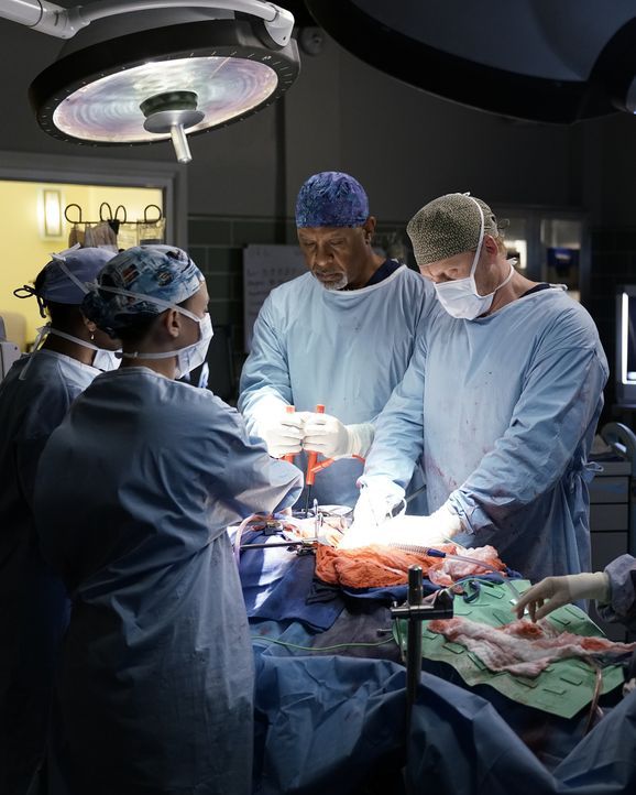 Kümmern sich um einen Mann, der massive innere Verletzungen und Organschäden hat: Stephanie (Jerrika Hinton, l.), Meredith (Ellen Pompeo, 2.v.l.), O... - Bildquelle: Michael Desmond 2016 American Broadcasting Companies, Inc. All rights reserved.