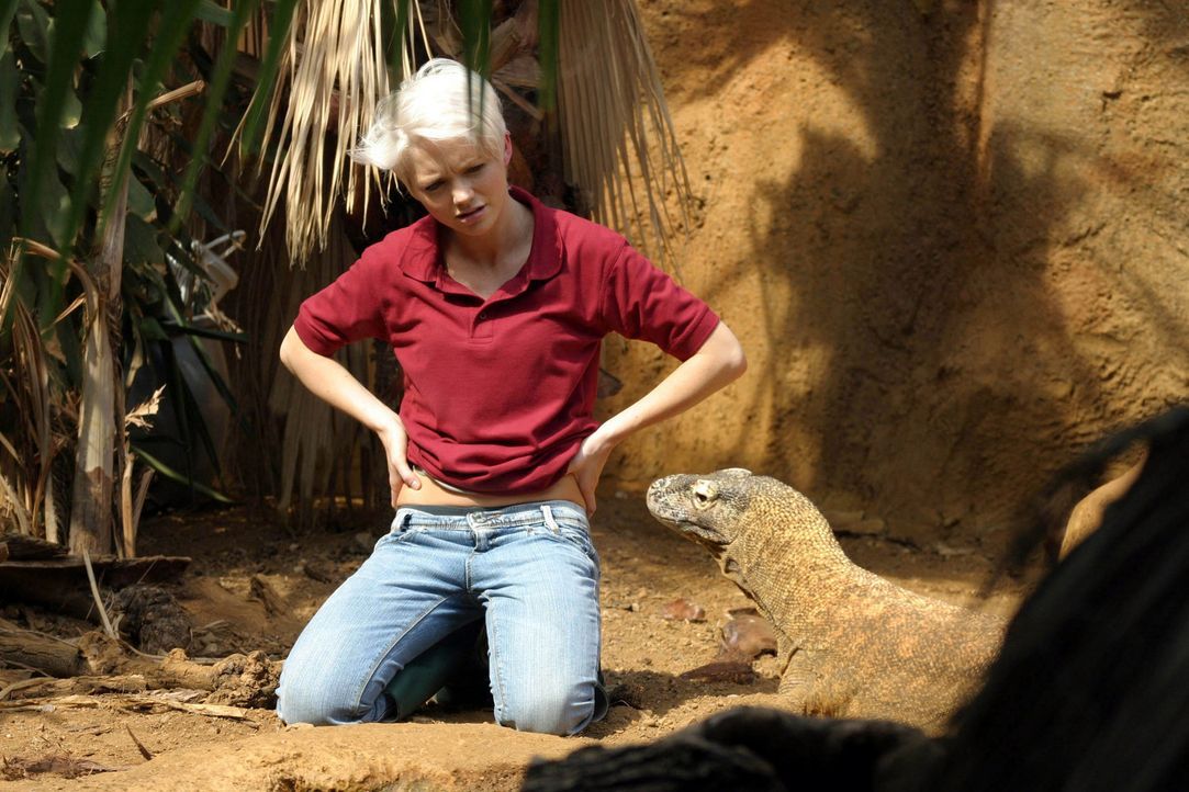Abby (Hannah Spearritt) nähert sich dem Varan an ... - Bildquelle: ITV Plc