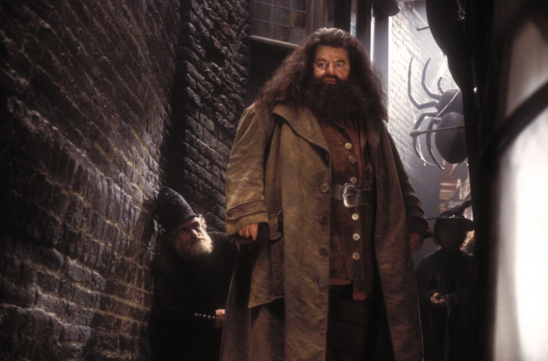 Zunächst glauben Harry und seine Freunde, dass Hagrid (Robbie Coltrane) vor 50 Jahren die Kammer des Schreckens geöffnet hat. Doch dann geschieht et... - Bildquelle: Warner Bros. Pictures