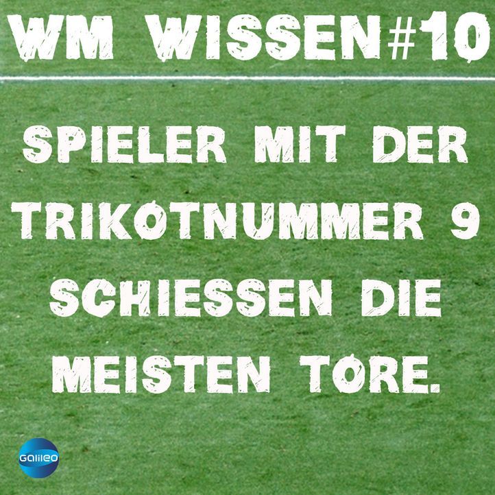 wmwissen10