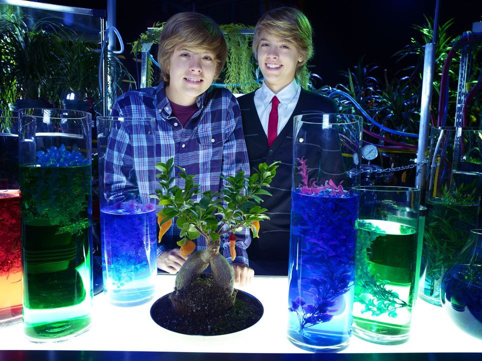 Geraten in eine lebensgefährliche Situation, als sie sich einem wissenschaftlichen Projekt zur Verfügung stellen: Cody (Cole Sprouse, r.) und Zack... - Bildquelle: 2010 Disney Enterprises, Inc. All rights reserved.