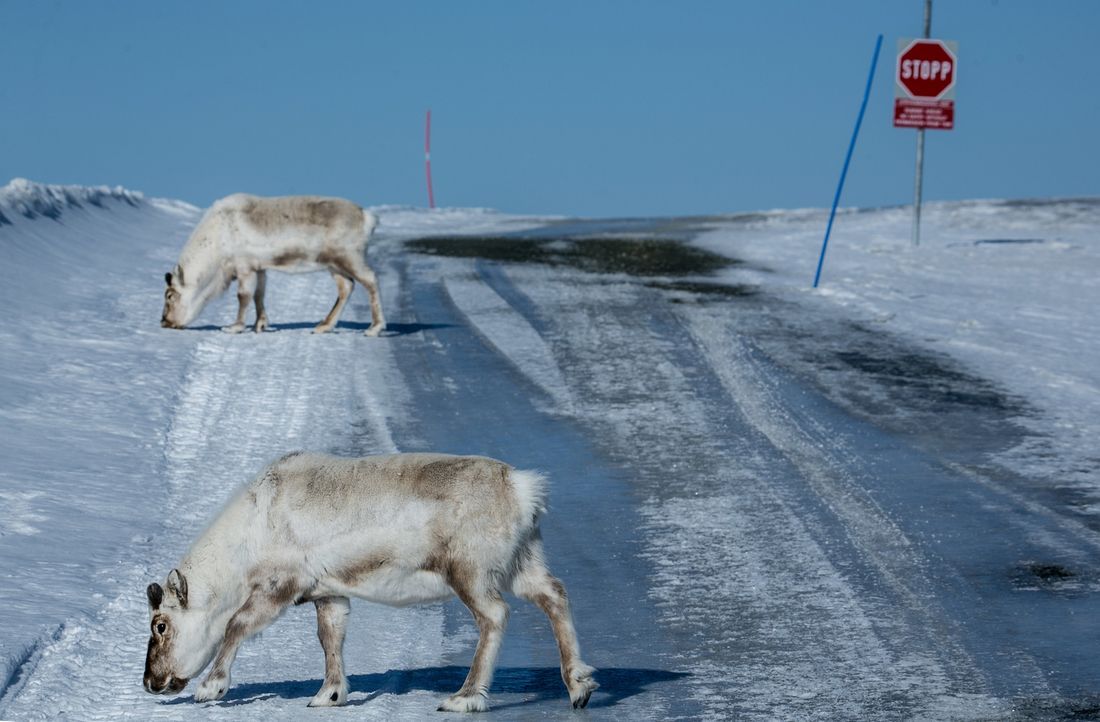 Weltweit schmelzen die Eisvorkommen der Erde mit dramatischen Folgen für Tier und Mensch ... - Bildquelle: ProSieben