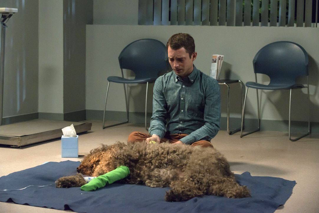 Nach einem Anfall bringt Ryan (Elijah Wood) seinen Freund Wilfred ins Krankenhaus ... - Bildquelle: 2014 Fox and its related entities.  All rights reserved.
