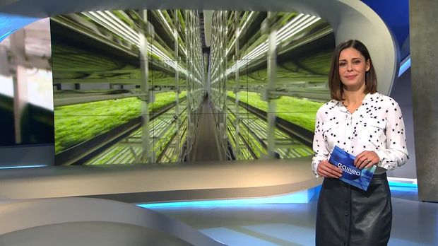 Galileo - Galileo - Samstag: Vertical Farming New York