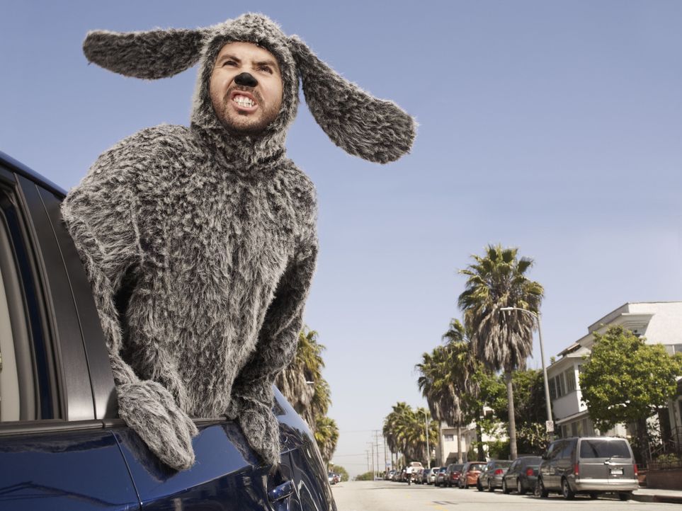 (1. Staffel) - Der raubeinige Hund Wilfred (Jason Gann) sorgt immer wieder für Aufregung ... - Bildquelle: 2011 FX Networks, LLC. All rights reserved.