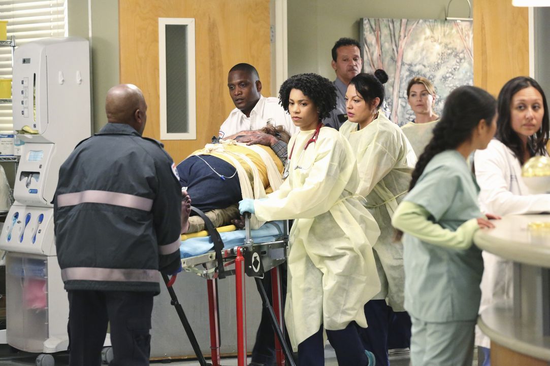 Ob die Ärzte Maggie (Kelly McCreary, 3.v.l.) und Callie (Sara Ramirez, 4.v.r.) es schaffen, die zwei umschlungenen Brandopfer zu retten? - Bildquelle: ABC Studios