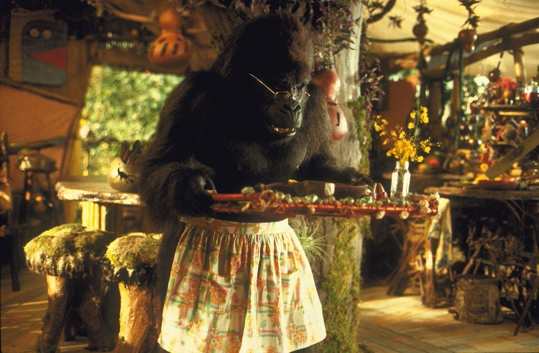 Eines Tages findet der sprechende und lesende Affe Ape ein kleines Baby mitten im Dschungel. Er zieht es auf, bis es ein stattlicher Mann geworden i... - Bildquelle: Disney Enterprises Inc.