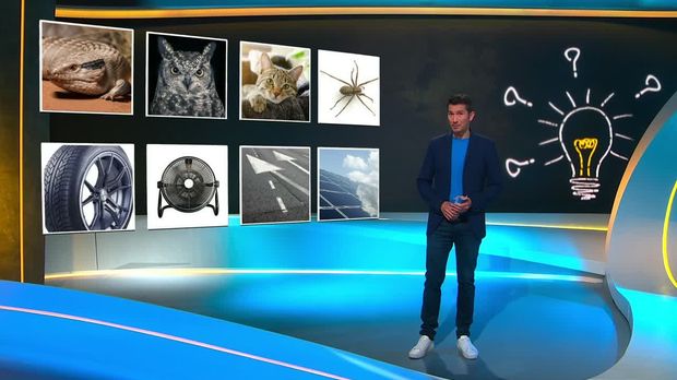 Galileo - Galileo - Dienstag: Wie Tiere Unsere Technik Besser Machen