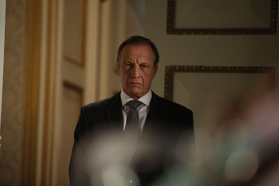 Auf welcher Seite steht er? Lucius (Andrew Bicknell) ... - Bildquelle: Tim Whitby 2014 E! Entertainment Media, LLC