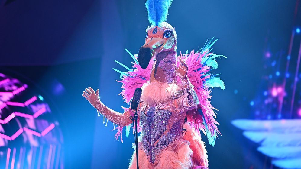 The Masked Singer 2021 Spoiler: Diesen Song singt heute ...