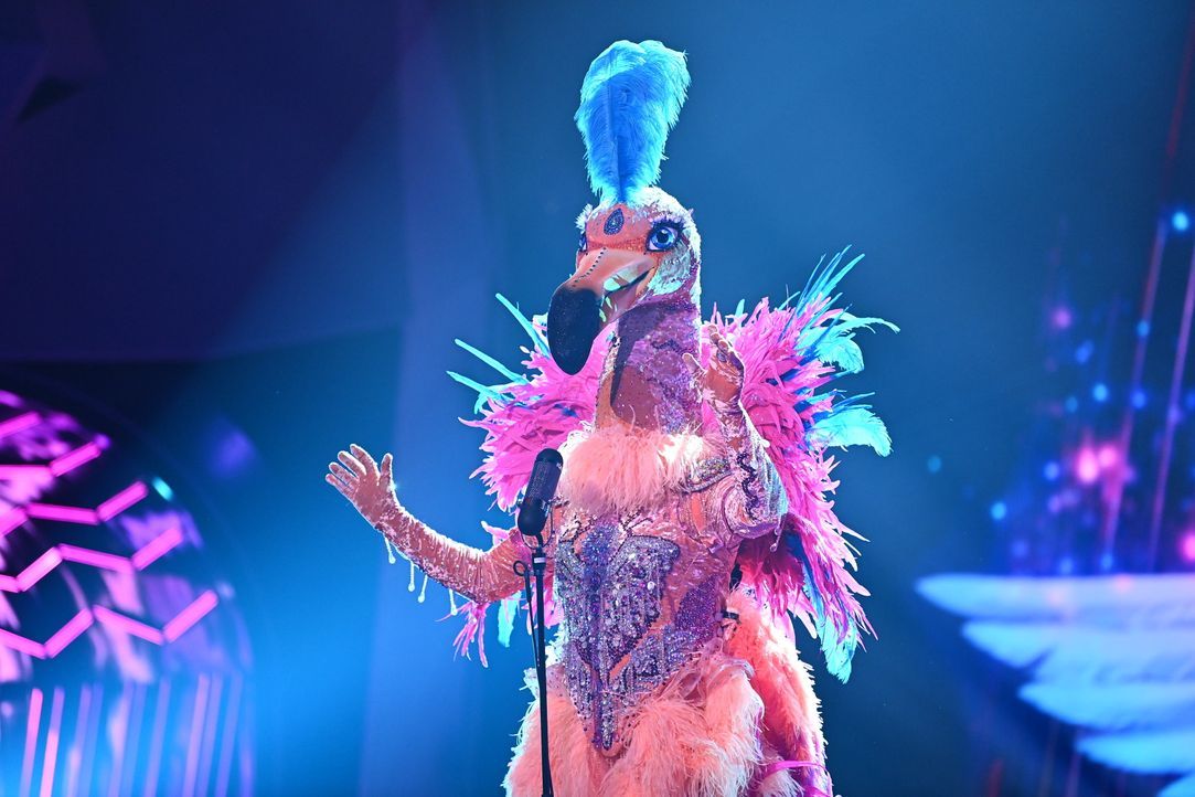 Der Flamingo - Bildquelle: Willi Weber ProSieben / Willi Weber