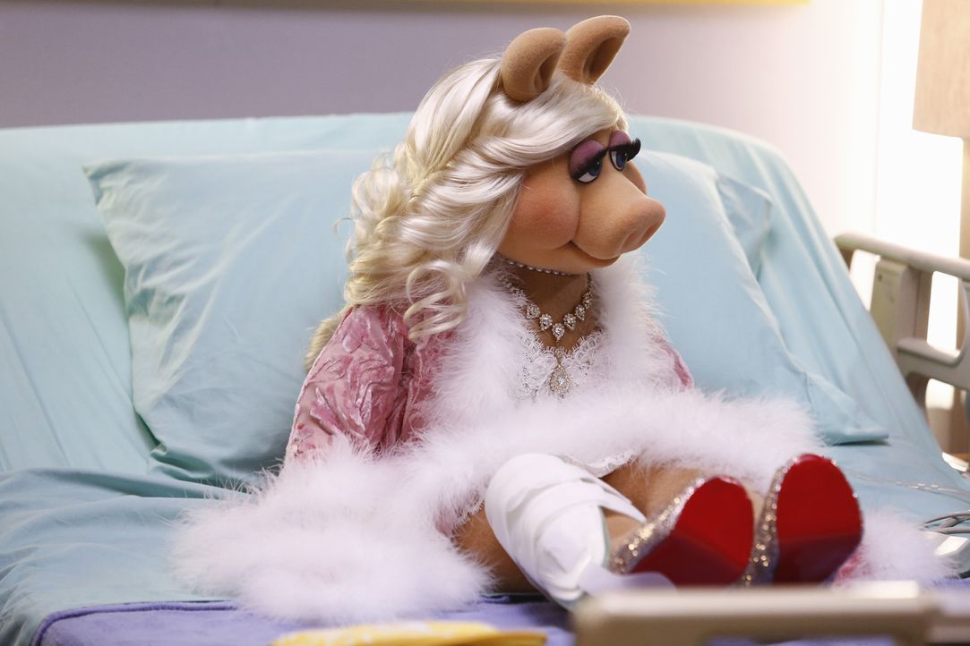 Wird die Show von Miss Piggy aus dem Krankenhaus ein Erfolg werden? - Bildquelle: ABC Studios