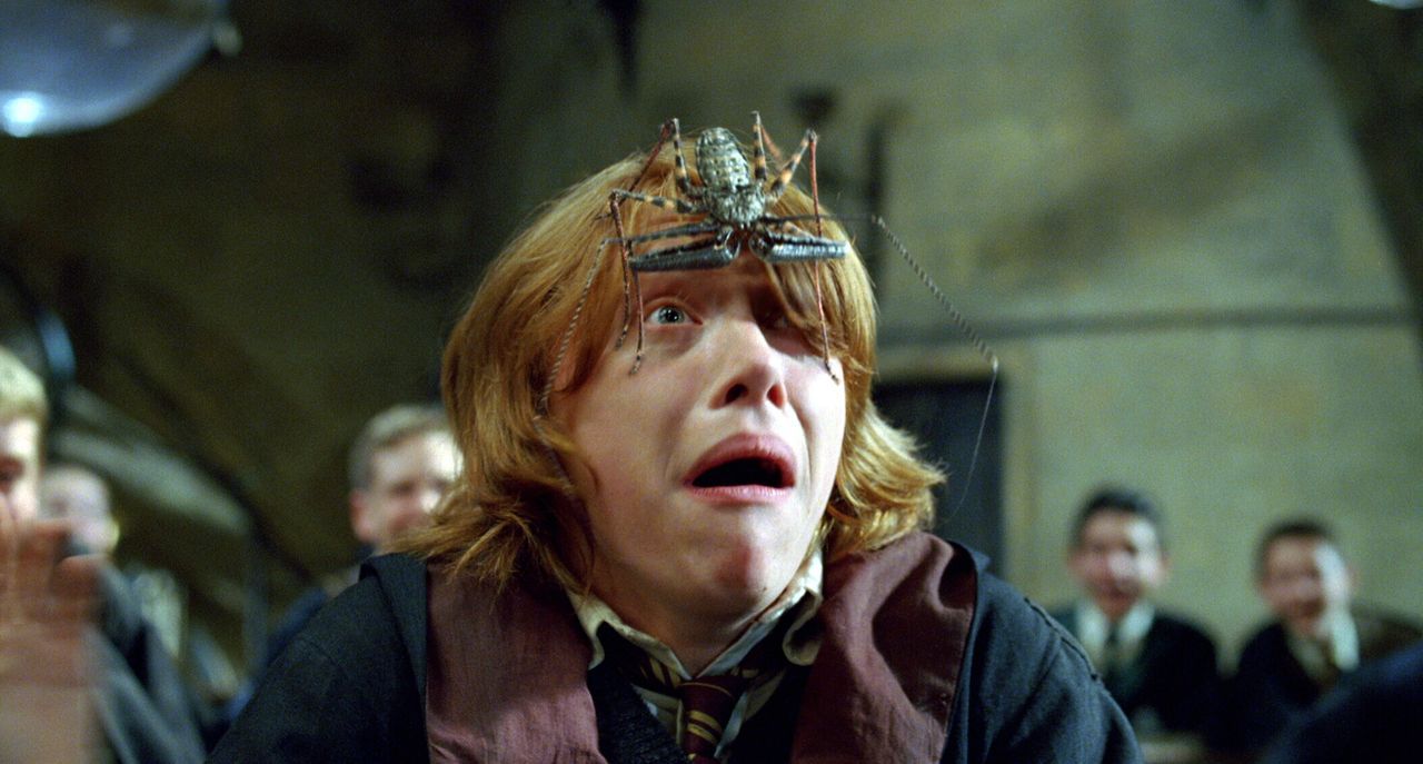 In ihrem vierten Jahr in der Zauberschule werden Harry und seine Freunde (Rupert Grint) Zeugen eines historischen Ereignisses: In Hogwarts findet da... - Bildquelle: 2005 Warner Bros. Ent. Harry Potter Publishing Rights. J.K.R.