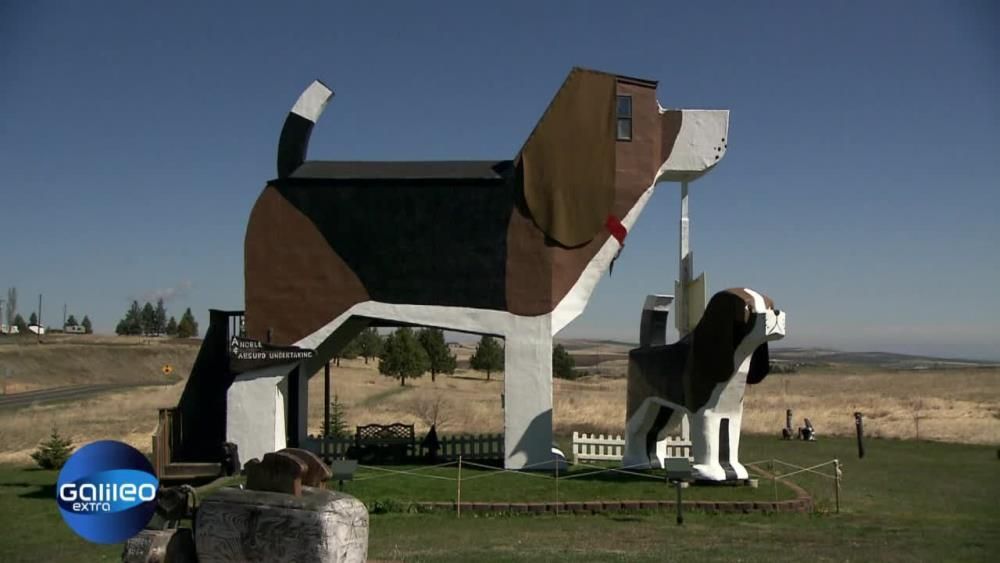 Hunde Haus