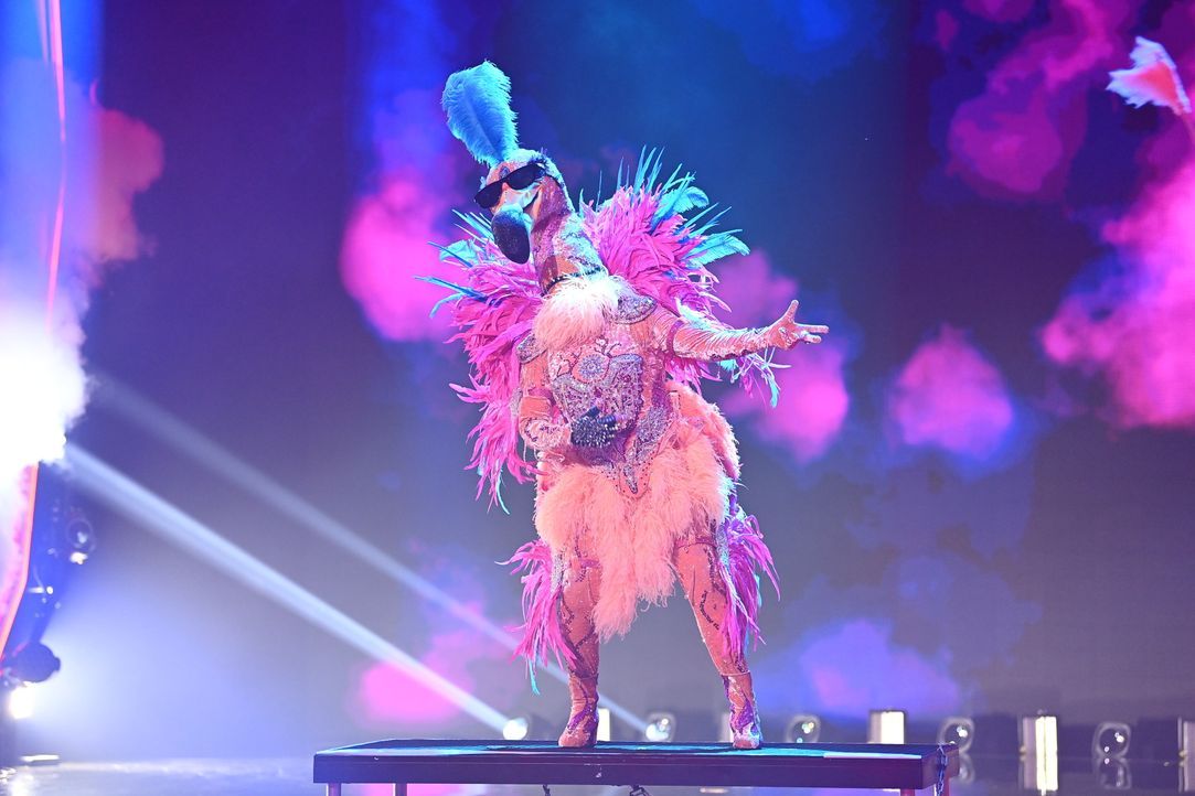 Der Flamingo - Bildquelle: Willi Weber ProSieben / Willi Weber