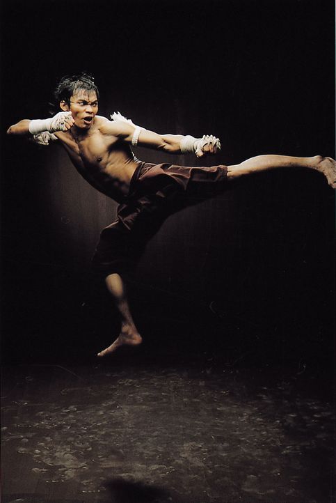 Mit der Hilfe von George hofft der in der überlieferten Kampfkunst Muay Thai ausgebildete Waisenjunge Ting (Tony Jaa), dem Dieb die gestohlene Budd... - Bildquelle: e-m-s new media AG