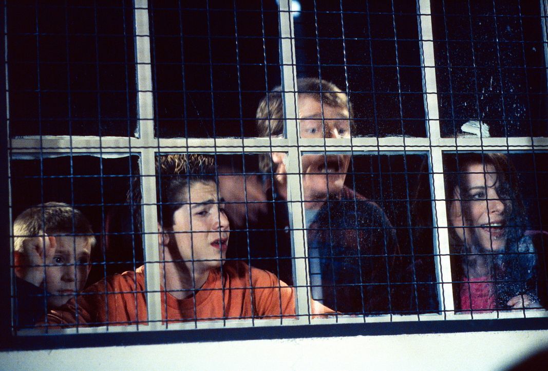 Dewey (Erik Per Sullivan, l.), Reese (Justin Berfield, 2.v.l.), Hal (Bryan Cranston, 2.v.r.) und Lois (Jane Kaczmarek, r.) beobachten, wie ihre Couc... - Bildquelle: TM +   2000 Twentieth Century Fox Film Corporation. All Rights Reserved.