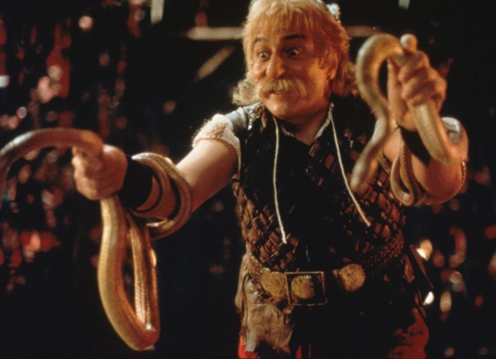 Nachdem Miraculix entführt wurde, sind die Gallier geschockt und beauftragen den mutigen Asterix (Christian Clavier) und dessen Freund Obelix, den D... - Bildquelle: Constantin Film