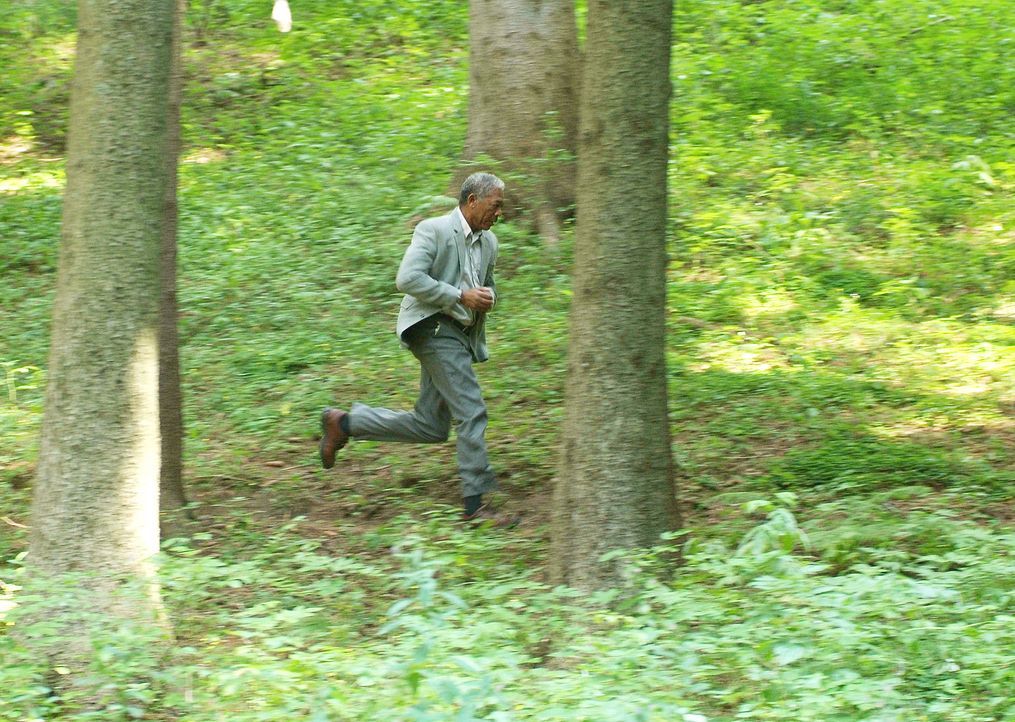Eines Tages wird aus dem Jäger, Profikiller Carden (Morgan Freeman), ein gnadenlos Gejagter ... - Bildquelle: Millennium Films