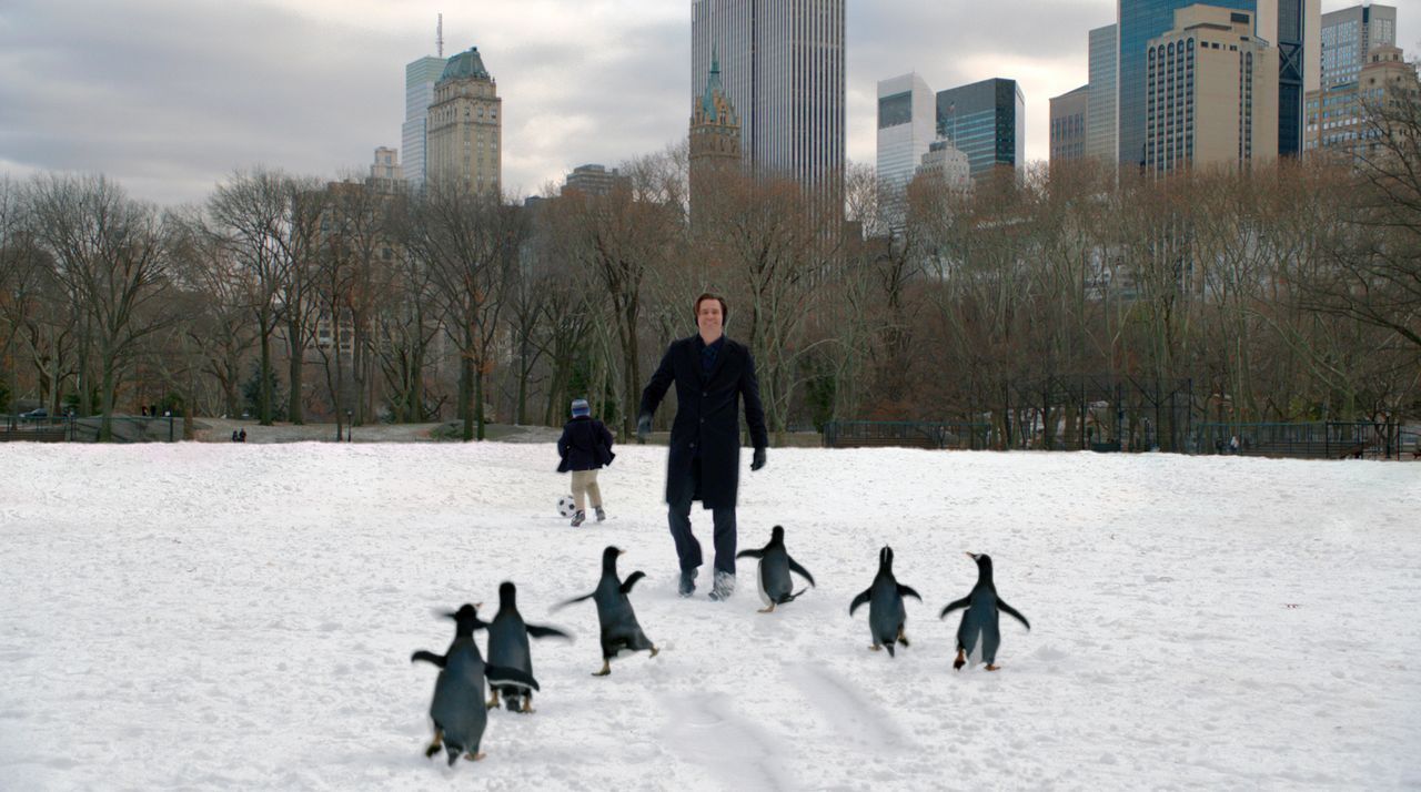 Der Geschäftsmann Tom Popper (Jim Carrey, r.) hat sechs niedliche Pinguine, die sein Leben ordentlich auf den Kopf stellen. Obwohl die kleinen Tierc... - Bildquelle: 2011 Twentieth Century Fox Film Corporation. All rights reserved.