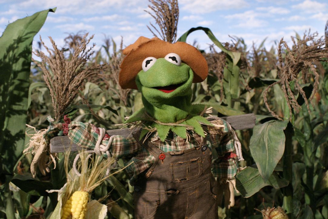Obwohl der Zauberer von Oz die Vogelscheuche davon zu überzeugen versucht, dass es ihm weder an Herz, Verstand noch Mut fehle, sondern lediglich der... - Bildquelle: The Muppets Holding Company, LLC. MUPPETS characters and elements are trademarks of the Muppet Holding Company, LLC.  All rights reserved