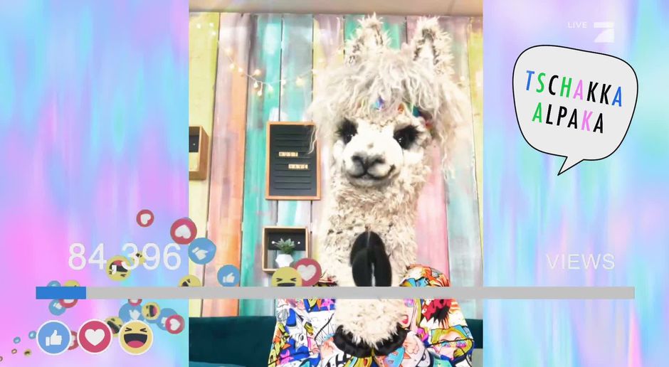 Das Alpaka I Love Ananas The Masked Singer