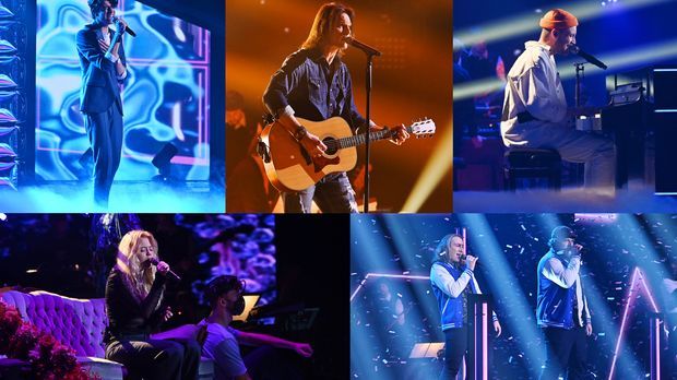 Voice Of Germany Finale 2020 : Tosari Udayana Bertarung di Final The Voice of Germany 2020 - Die show besteht aus vier phasen: