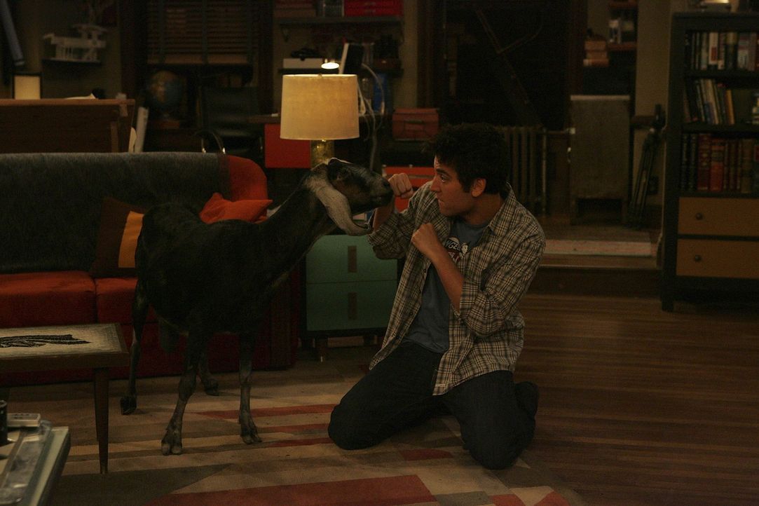 Ted (Josh Radnor) versucht seine Präsentation fertig zu stellen, während die Ziege, die Lily vor einiger Zeit vom Schlachter gerettet hat, im Wohn... - Bildquelle: 20th Century Fox International Television