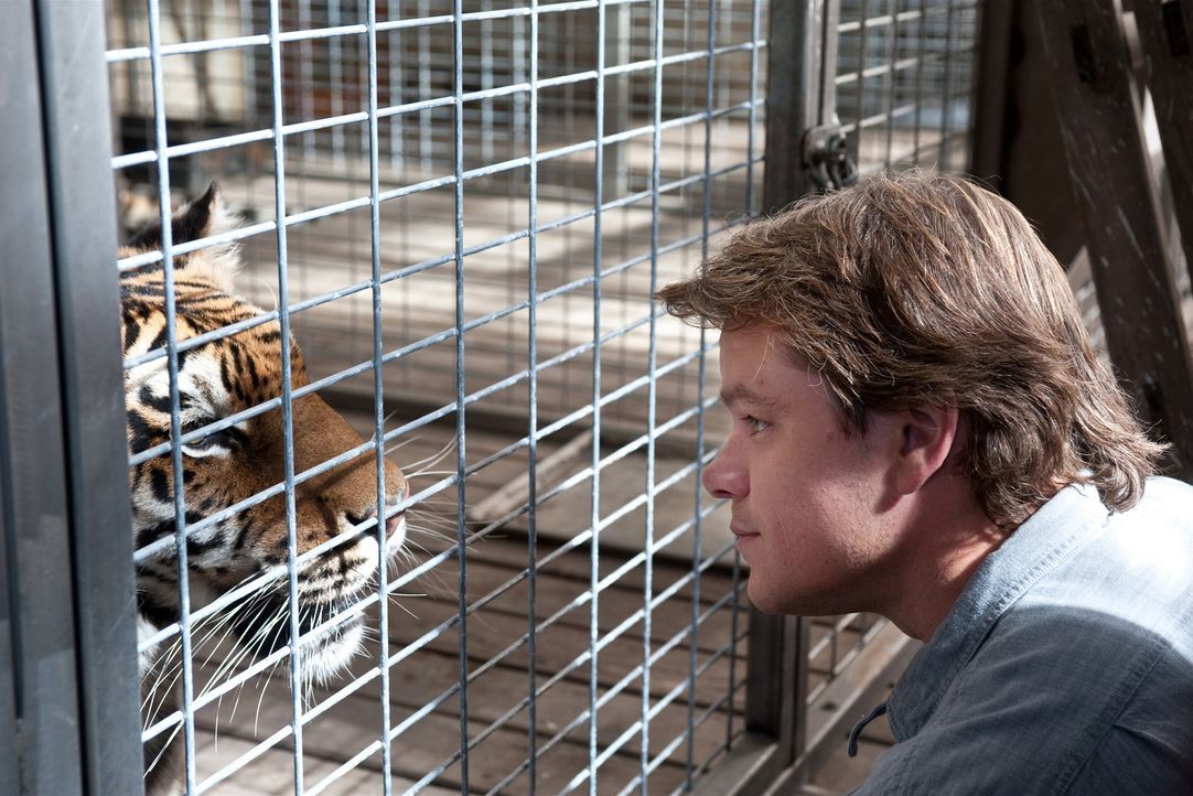 Nach dem Tod seiner Frau will Benjamin Mee (Matt Damon) neu anfangen: Der Journalist sucht ein neues Zuhause für sich und seine beiden Kinder Rosie... - Bildquelle: 2011 Twentieth Century Fox Film Corporation. All rights reserved.