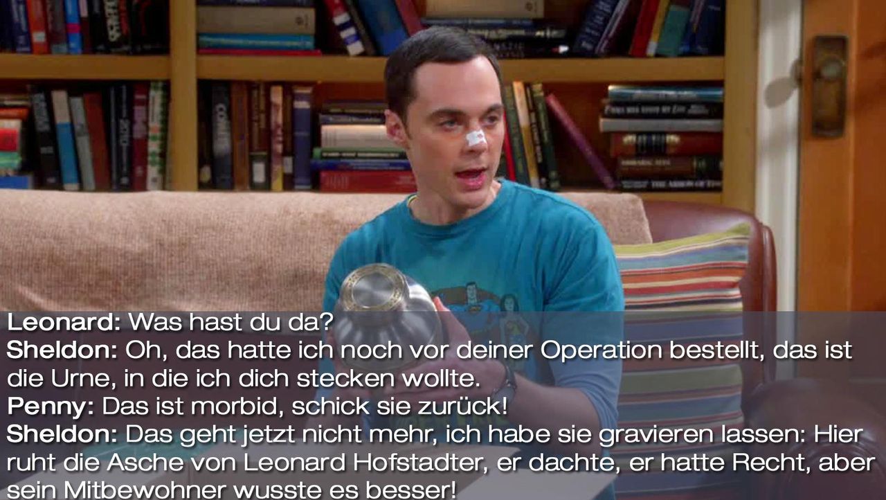 The Big Bang Theory Die besten Sprüche zur Staffel 8