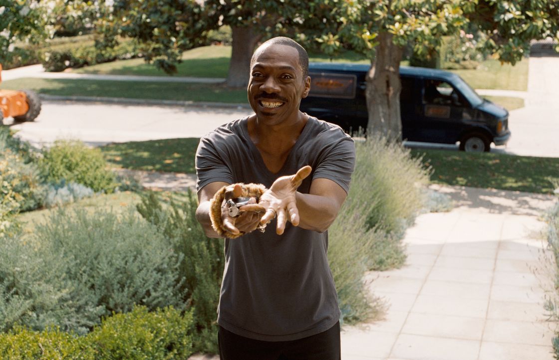Schweigen ist Gold: Nachdem Jack McCall (Eddie Murphy) einen neuen Auftrag angenommen hat, muss er plötzlich sein ganzes Leben umstellen. Doch das w... - Bildquelle: (2012) DW Studios L.L.C. All rights reserved.