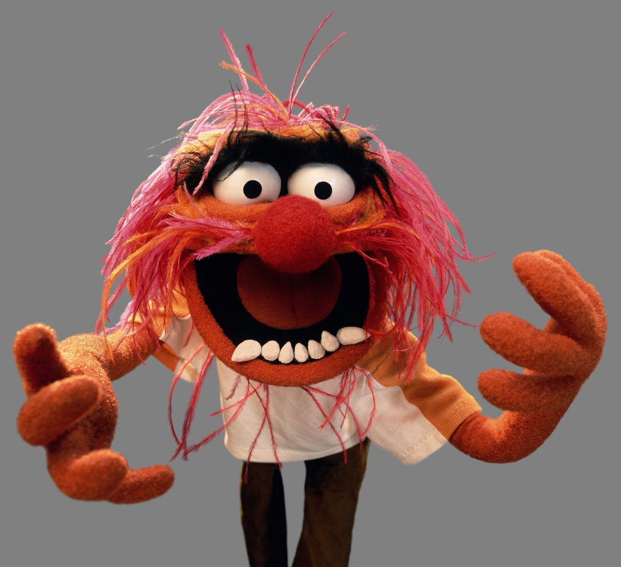 The Muppets Neue Besen Kehren Mies Prosieben
