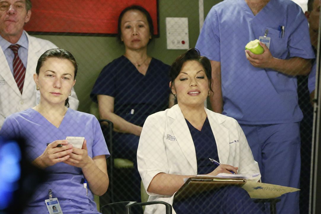 Ahnt noch nicht, dass sie Amelia bei einer Operation zur Hilfe eilen muss: Callie (Sara Ramirez, vorne r.) ... - Bildquelle: ABC Studios