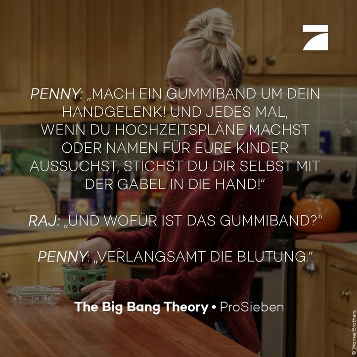 The Big Bang Theory Zitate Staffel 11