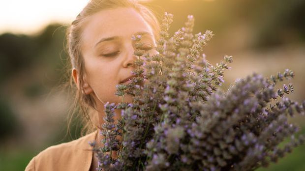 DIY-Haarspülung mit Lavendel