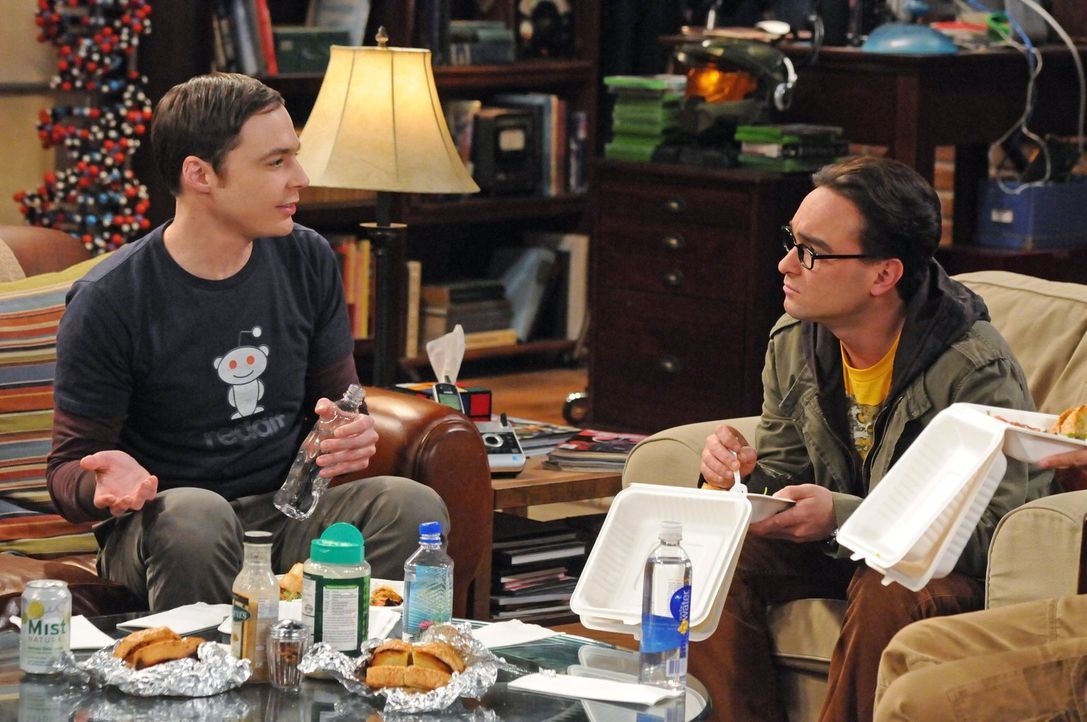 Sind sich nicht immer einig: Leonard (Johnny Galecki, r.) und Sheldon (Jim Parsons, l.) ... - Bildquelle: Warner Bros. Television